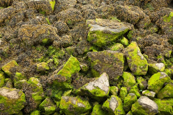 Duże Kamienie Tle Poziomych Beach — Zdjęcie stockowe