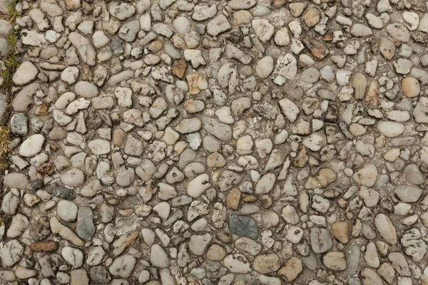 Pebble stone floor tile seamless background. Cement mixed gravel pebble stone floor texture. Wet round pebble stone rock floor in dramatic lighting. — Stock Photo, Image