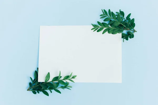 Desktop mock-up with blank paper card, branch on white shabby table background. Empty space. Styled stock photo, web banner. Flat lay