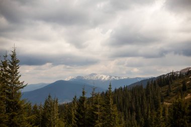 Karpatlar Ukrayna dağlarda manzara