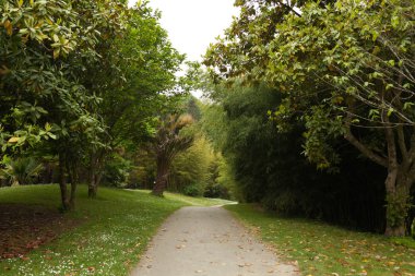 Park güzel dar sokakta. Bahçe peyzaj tasarım