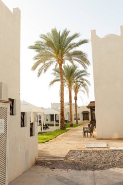 Mısır, Sharm El Sheikh Mart 2018 tropikal lüks resort otel Arap mimarisi ile palm