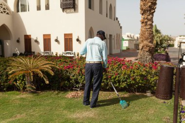 Mısır, Sharm El Sheikh 9 Mart 2018 adamdır park profesyonel bahçıvan bir üniforma kesim çalıların arasında kesme ağaçlar