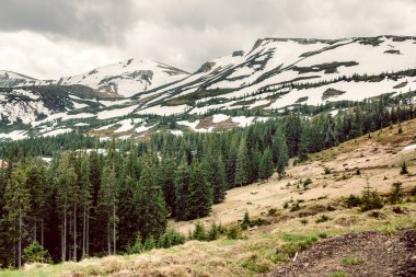 Mavi gökyüzü ve kar dağ ile yeşil çimen