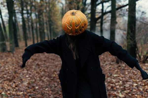 Frygteligt Væsen Efterårsskoven Aftenen Glædelig Halloween Græskarhoved Mand Med Græskar - Stock-foto