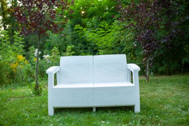 Yeşil davetkar bir bahçe kanepe yastıkları bir sarı çiçekli ağaç altında desenli.