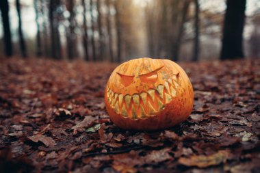 Halloween jack-o-lantern üzerinde sonbahar antropomorfic güler yüz ile açık bırakır