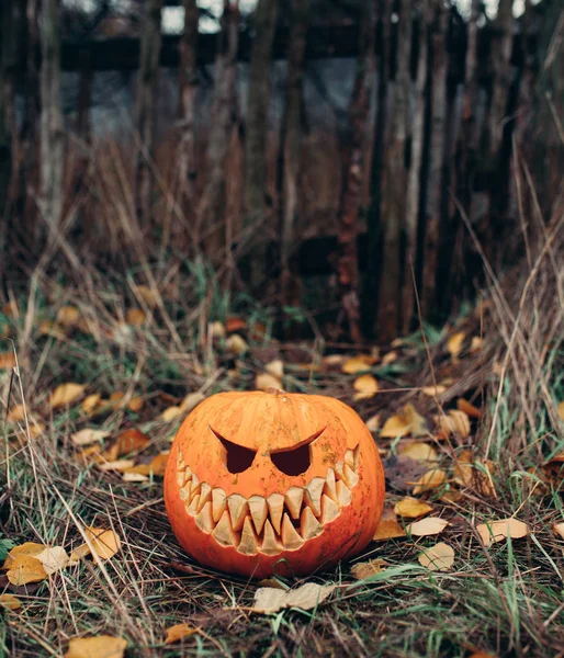 Halloween Jack-o-lanterne avec le visage souriant antropomorfic sur les feuilles d'automne Extérieur — Photo
