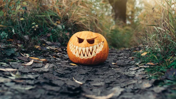 Halloween jack-o-lanterna con antropomorfico volto sorridente sulle foglie autunnali Outdoor — Foto Stock
