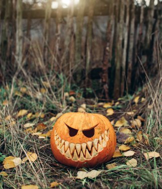 Halloween jack-o-lantern üzerinde sonbahar antropomorfic güler yüz ile açık bırakır