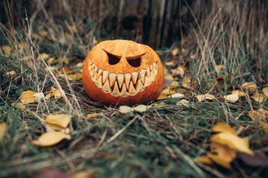 Halloween jack-o-lantern üzerinde sonbahar antropomorfic güler yüz ile açık bırakır
