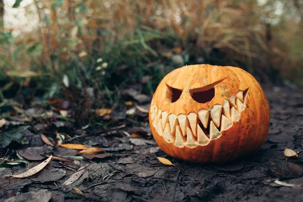 Halloween jack-o-lantern üzerinde sonbahar antropomorfic güler yüz ile açık bırakır