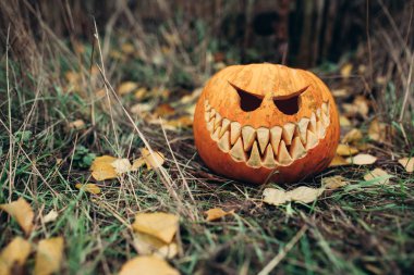 Halloween jack-o-lantern üzerinde sonbahar antropomorfic güler yüz ile açık bırakır