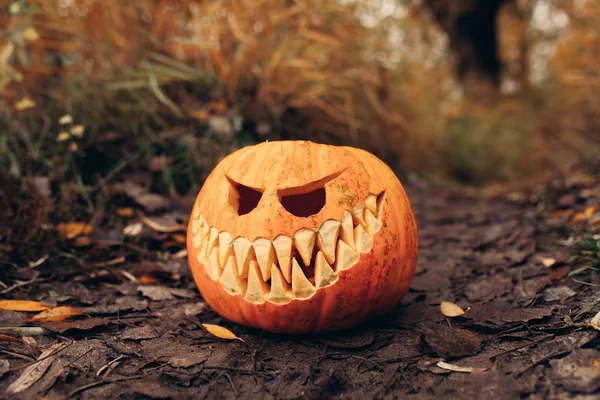 Halloween Jack-o-lanterne avec le visage souriant antropomorfic sur les feuilles d'automne Extérieur — Photo