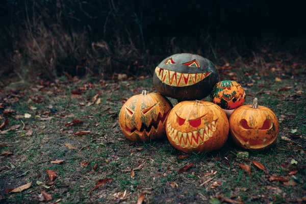 Gruppo di zucche di Halloween con una faccia scolpita sdraiata a terra in una oscura foresta mistica — Foto Stock