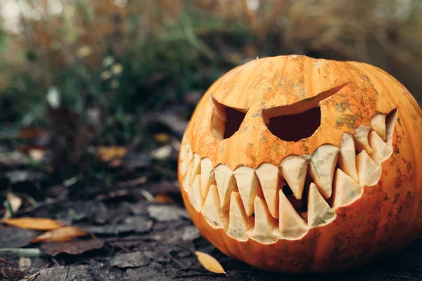 Halloween jack-o-lantern üzerinde sonbahar antropomorfic güler yüz ile açık bırakır