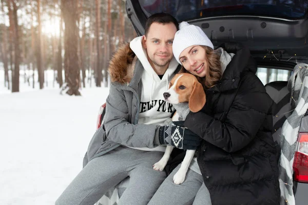 A young family of travelers a guy and a girl are sitting in the trunk of their car in an embrace with their friend dog Beagle. Winter forest on the background. Traveling with a dog by car