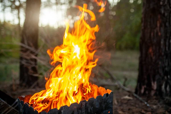 Grill with great fire. Flames burst high. Barbecue in nature — Stock Photo, Image