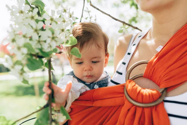 Мать Носит Младенца Рогатке Парке Весной Концепция Естественного Воспитания Счастливая — стоковое фото