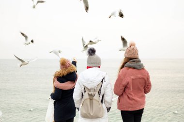 Bir grup insan kış giysileri iskelede duran ve martılar ellerini besleyen. Kış deniz ve kuşlar. Soğuk havalarda deniz tarafından tanınmayan insanlar