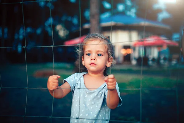 Het kleine meisje houdt vast aan het hek met beide handen en kijkt naar de camera via het raster — Stockfoto