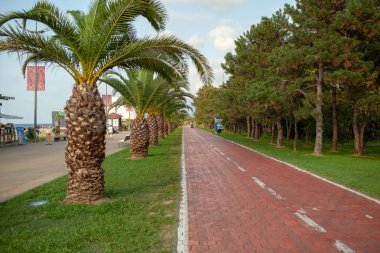 Batum, Gürcistan - Ağustos 2018: Palm ağaçlar sokak mesire Batum, Gürcistan ve bisiklet yolu