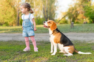 Küçük Beyaz kız doğada parkta yaz aylarında köpeği ile yürüyor. Cins beagle