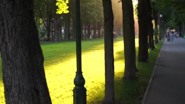 Невпізнанних людей ходьба літнього вечора в громадському міському парку з сонцем квасоля відблиску — стокове відео