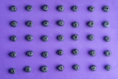 Mor arka planda yaban mersini renkli meyve deseni. Üstte görüntü.