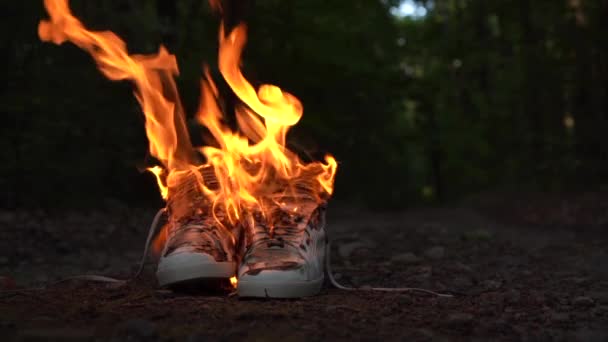 Gebruikte witte hoge sneakers branden op een landelijke weg die in het bos loopt. — Stockvideo