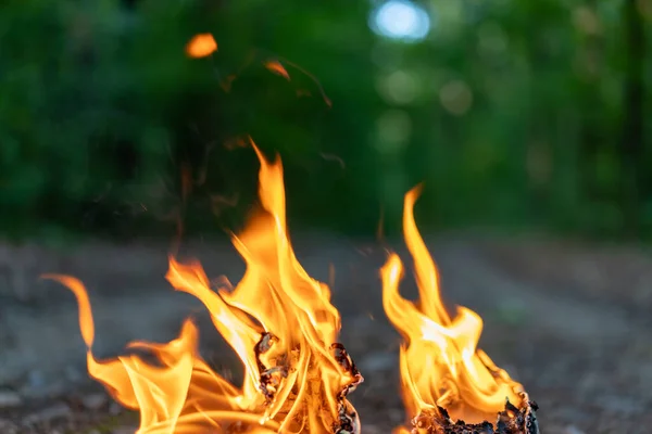 Tongues Flame Close Background Evening Forest Fire Hazard Forest — Stock Photo, Image