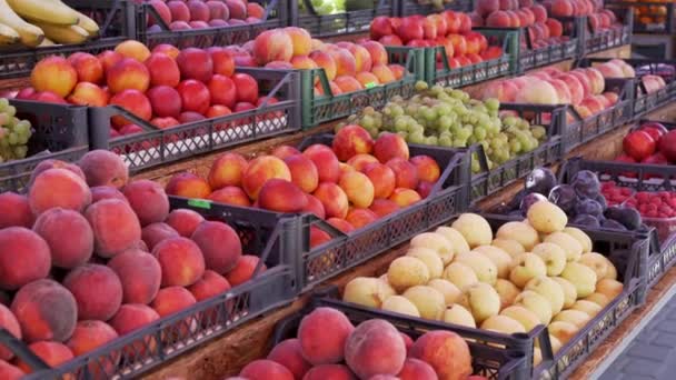 Handheld Videos Efeito Fruit Bazar Pêssegos Nectarina Uvas Damascos Maduros — Vídeo de Stock