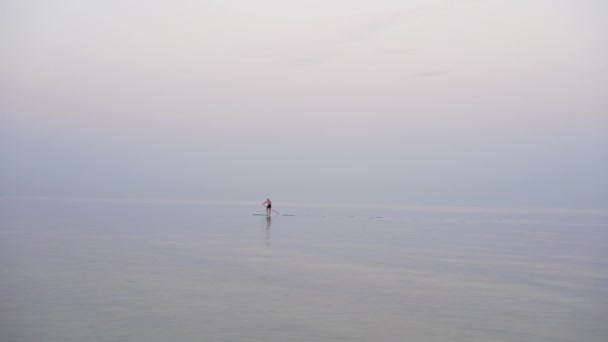 Успокаивающие Волны Море Теплым Летним Вечером Фиолетовое Голубое Безоблачное Небо — стоковое видео