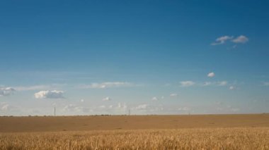 Buğday tarlası tarımsal çayırlık araziyi hızlandırdı. Gün geceye dönüşür. Yüksek kaliteli 4K görüntüler hasat için bekliyor