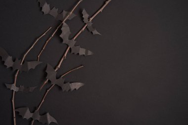 Cadılar Bayramı dekorasyon kavramı siyah kağıt yarasalar kuru dal yapıştırıcı siyah karton arkaplan 