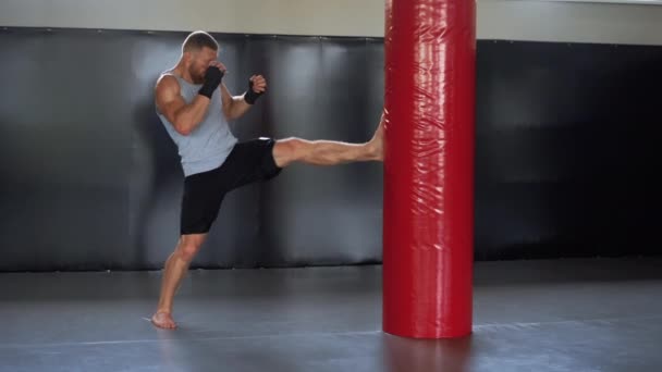 Boxer trénink tělocvična boxovací pytel Man kickboxer box, cvičení uvnitř. Kardio cvičení příprava na boj. — Stock video