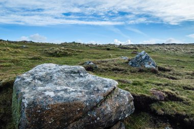 Gri büyümüş kayalar yosun ve likenler çevresinde; Yeşil çayır bulutlu gökyüzü ile bir ufuk oluşturur