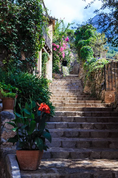 boş taş basamaklardan; farklı çiçekli bitkiler ve sarmaşık boyunca her iki taraf vardır; arka planda dağlar vardır