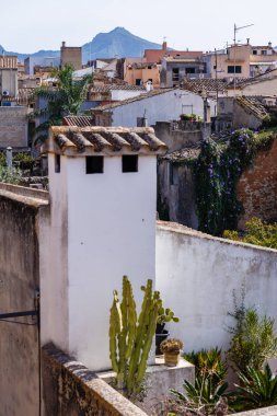 bitkiler ve çiçekler şehrin evde, çatılarda; Kentin çeşitli çatılar, büyük bir dağ içinde belgili tanımlık geçmiş görünümünü