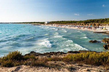 İspanya, Mallorca, 2018, kumlu plaj beyaz kum ile yaz ve yaprak şemsiye palmiye; mavi-yeşil deniz suyu ile beyaz kıyı dalgalar