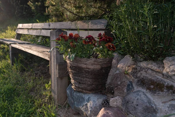 Zachód Słońca Głazy Umieszczono Ozdobny Doniczka Kwiatami Bordo Ławka Drewniana — Zdjęcie stockowe