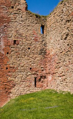 eski, tarihi bina kalıntıları, kırmızı tuğla duvarlar, ön çim duvar, mavi gökyüzü arka plan üstünde büyüyen sarı dandelions çim