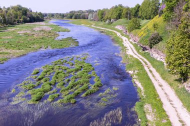 nehir mavi suları orta birçok su bitkileri ile; kırsal yol nehir ve dağ arasında; Hill ile çiçeklenme çiçekler ve ağaçlar