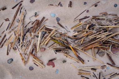 Sahil kum kuru atılıyor parçaları; çeşitli boyut ve renkleri atılıyor kısımlarıyla bileşiminde deniz taşları; kum doğal elemanları arka plan