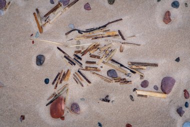 Sahil kum kuru atılıyor parçaları; çeşitli boyut ve renkleri atılıyor kısımlarıyla bileşiminde deniz taşları; kum doğal elemanları arka plan