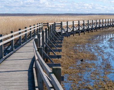 Korkuluk ile yaya ahşap yaya köprüsü gölde kuru sazlık geçer, sığ su her yerinde