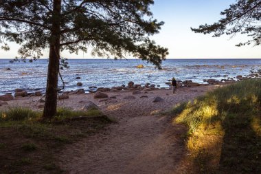 yaz akşamı, gölgede deniz kumlu ve kayalık kıyı şeridi kıyı kumulları görünümü; bir taş üzerinde kadın ve mesafe denize bakıyor