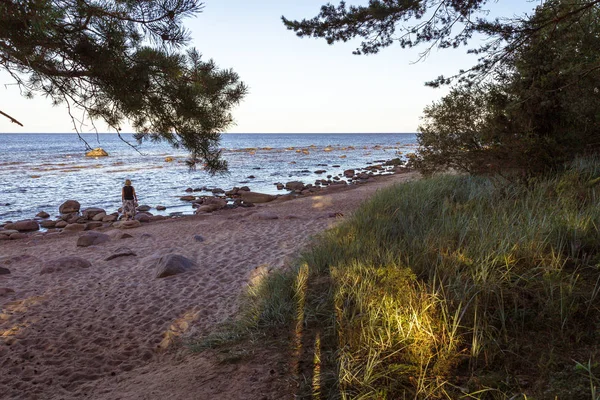 yaz akşamı, gölgede deniz kumlu ve kayalık kıyı şeridi kıyı kumulları görünümü; bir taş üzerinde kadın ve mesafe denize bakıyor
