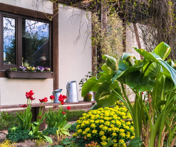 garden house window from outside with flower box, foreground flowerbed with red tulips and wooden bench with metal bowls