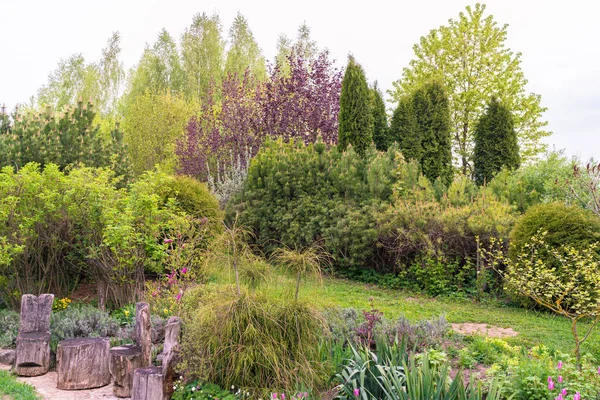 Ilkbaharda Çok Renkli Bir Süs Bahçe Manzara Park Gül Dağ — Stok fotoğraf